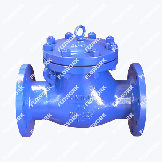 Check Valve